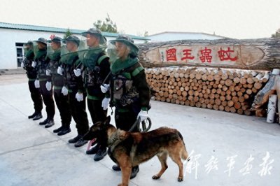 ​“蚊虫王国”戍边人：北湾边防连官兵的忠诚与坚守！