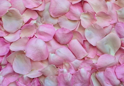 ​情人节朋友圈搞笑说说 情人节幽默说说