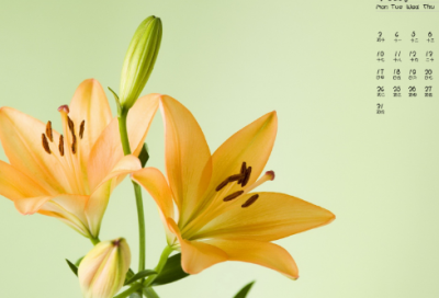 ​病人祝福语鼓励简单