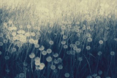 ​给小朋友祝福语小孩子祝福语简短(33句)