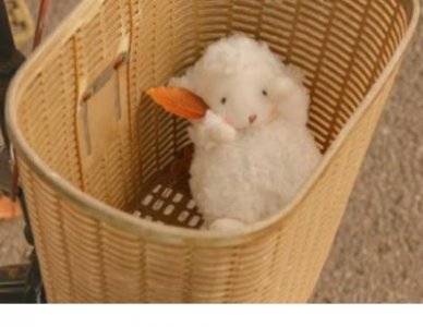 ​调皮简短的生日祝福语八字