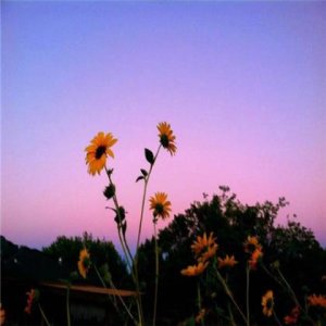 ​愚人节微信朋友圈整人方法 微信愚人节祝福语