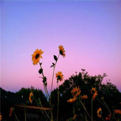 微信愚人节祝福语