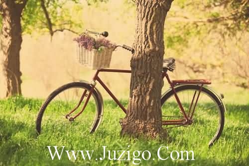 祝贺结婚祝福语,祝贺结婚话