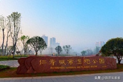 ​四川人口大县仁寿究竟有多大？梳理仁寿区划调整，以及人口变化