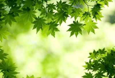 ​牛年乔迁祝福语录(精选13句)