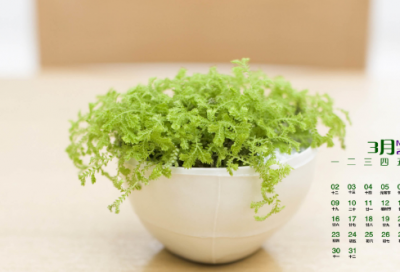 ​汤灿祝福祖国的歌词