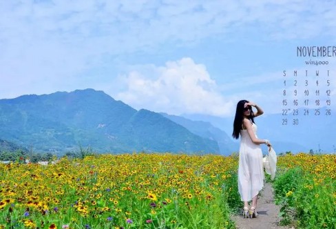 1706465396572236.png image.png