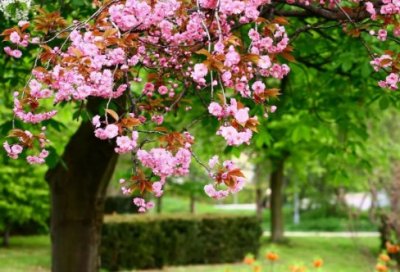 ​天涯明月刀名字古风男简单干净（简单天涯明月刀名字古风男）