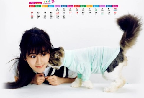 1710321553223377.png image.png