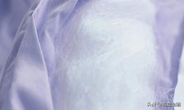 老板蚕丝被真假鉴别（24年坚守假一赔亿诚信品牌金加瀛创始人卢亚波蚕丝被怎么辨别真假）(11)