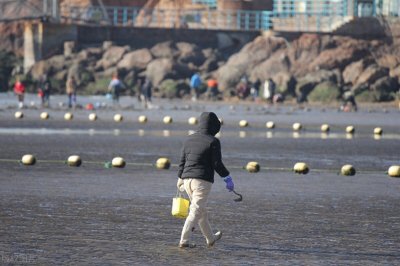 ​请注意！青岛未来7天的天气情况出炉了。