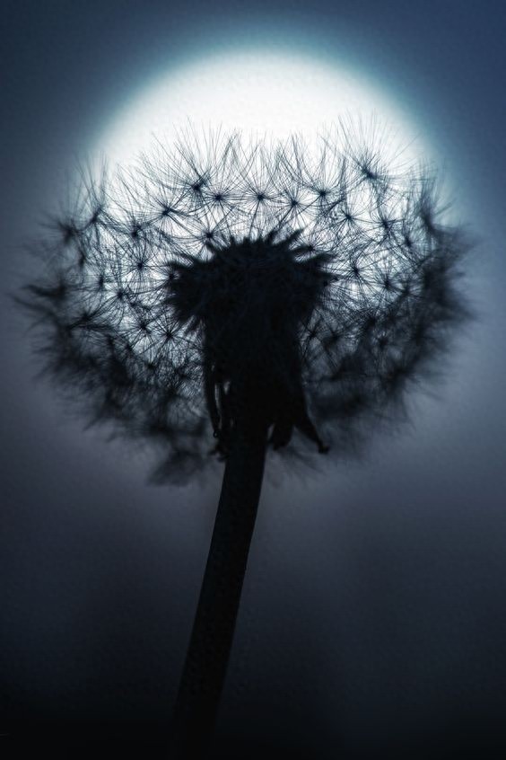 世界各地的月亮美图,祝您中秋佳节快乐!