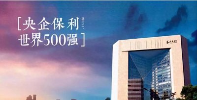 ​中国四大财团之保利集团