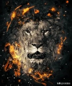 ​「小故事大道理3」狮子与老鼠