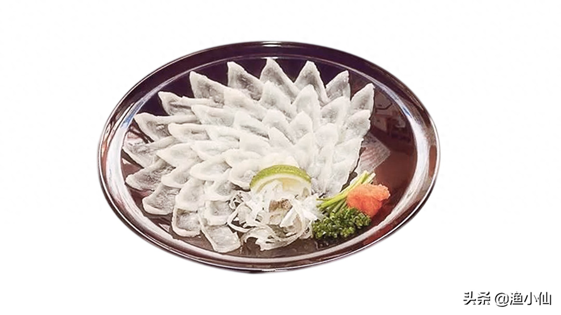 剧毒的美味，集致命与可爱于一身的河鲀，一般人不敢吃它