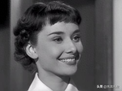 奥黛丽·赫本（百年来最伟大的女演员），最经典的20张照片