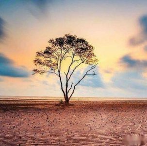 ​散文：人到中年，坦然乐观，就是对人生最好的致敬