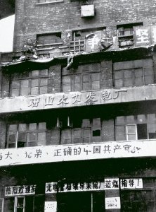 ​唐山大地震亲历记（451）临震前的四个奇异现象