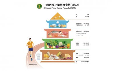 ​专家解读｜中国居民平衡膳食宝塔有深意