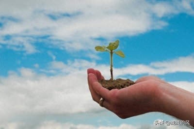 ​人生岔路口上选择