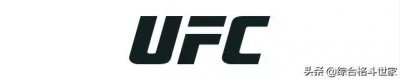 ​记忆专辑：UFC十年回顾——2017年