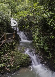​重庆最近的避暑胜地-万盛黑山谷吃喝玩乐最全推荐