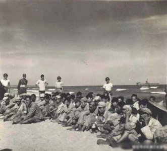 ​金门战役最后关头：营长将重机枪推下大海，50多名战士投海自尽