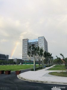 ​上海电力大学21届本科毕业生就业简况