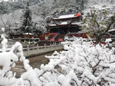 泸山景区大雪纷飞，吸引众多市民游客流连忘返！