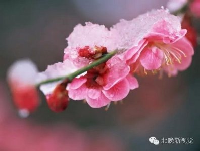 ​冬至进入九九天 过冬必备消遣这么玩