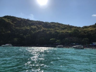 ​新的一天新的开始精美励志语句 迎接新的一天早安问候祝福语