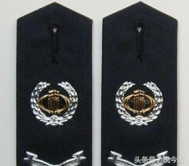 这些执法部门的肩章你都认识吗?不认识赶紧来看看