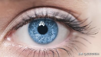 ​蓝眼睛-生物界最稀有的眼睛颜色