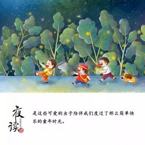 ​闽南夜话｜乡下的屎壳郎和龙眼鸡
