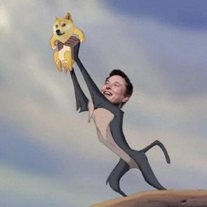 ​一文读懂 doge 的前世今生——史上最强的meme迎来新生
