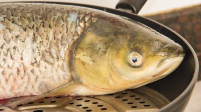 ​老厨师教你做，松鼠鱼的家常做法，简单几步就能完成新手一次成功