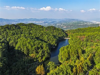 ​【理论早读】以“绿色颜值”点亮“金色产值”