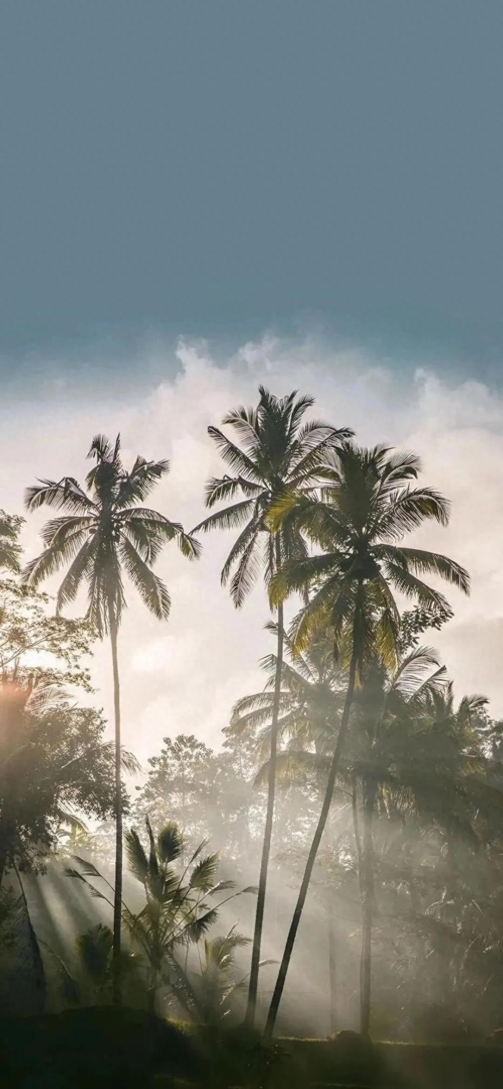 抖音最火潮图壁纸