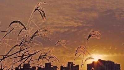 ​李白诗集--秋思，秋天里感受古人的“秋思”