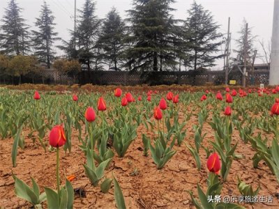 ​洛阳南山公园