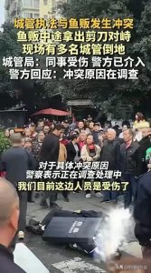 ​城管执法引争议，暴力还是误解？深度剖析成都城管与鱼贩冲突事件