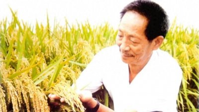 ​袁隆平：中国杂交水稻之父 世界农学界的丰碑