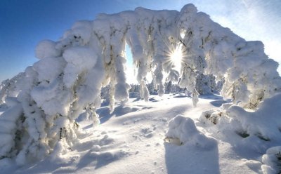 ​北极并不是最冷的地方，真正寒冷的地方在俄罗斯！气温-64 °C