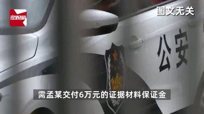 ​儿子疑父出轨网寻侦探，反遭诈骗损失6万余元
