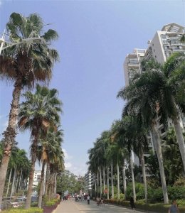 ​看看最近海南乐东九所新区现在的房价怎么样了