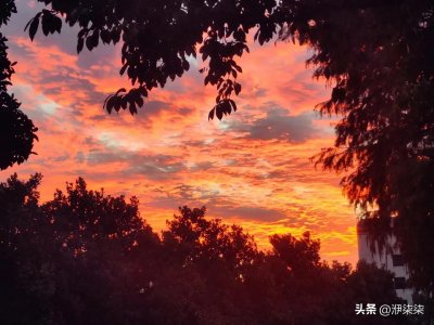 ​《简爱》书评，读后感悟