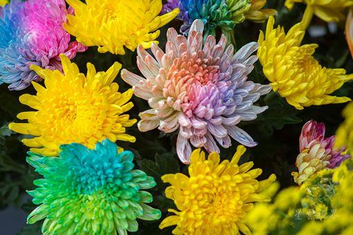 《效陶彭泽》古诗阅读赏析