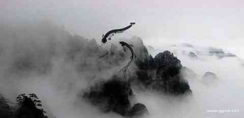 “相濡以沫,不如相忘于江湖”是什么意思?