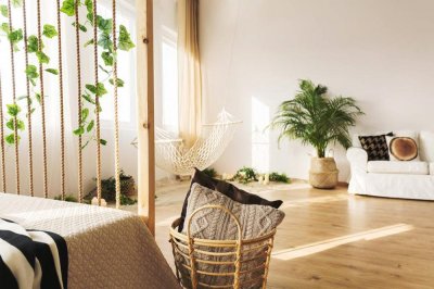 ​夏季的植物有哪些